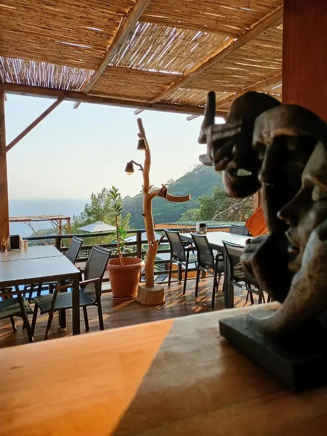 Tree Houses Hotel Fethiye 0*,  Turkey