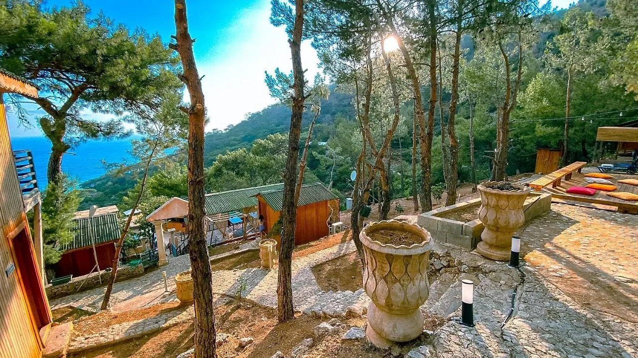 Tree Houses Hotel フェティエ