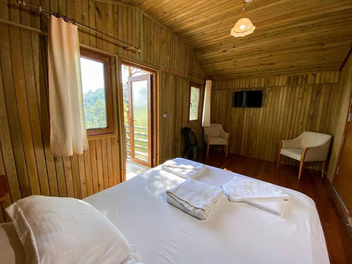 Tree Houses Hotel Φετιγιέ