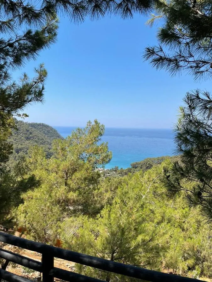 Tree Houses Hotel Φετιγιέ 0*,
