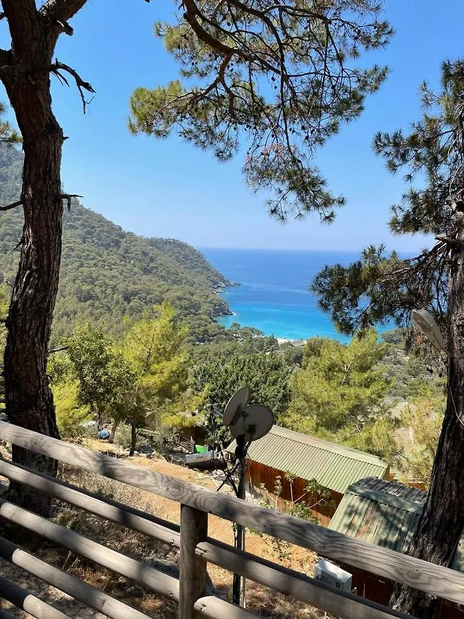 Tree Houses Hotel Φετιγιέ