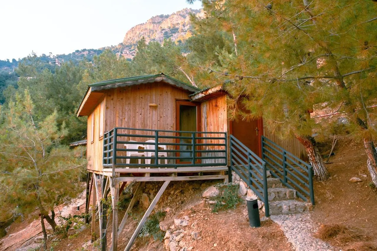 Tree Houses Hotel Φετιγιέ