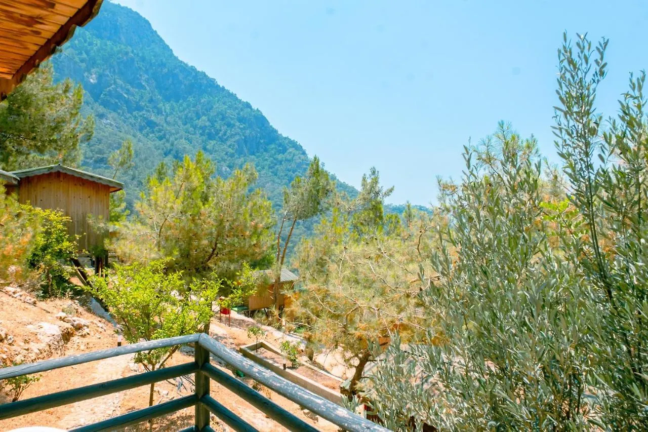 Tree Houses Hotel Φετιγιέ 0*,