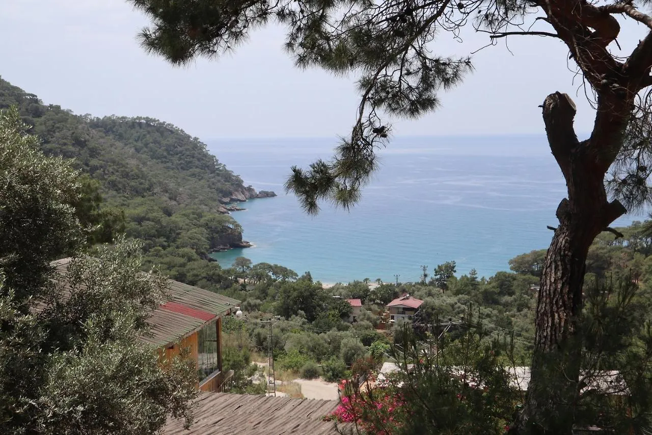 Tree Houses Hotel Φετιγιέ 0*,  Τουρκία