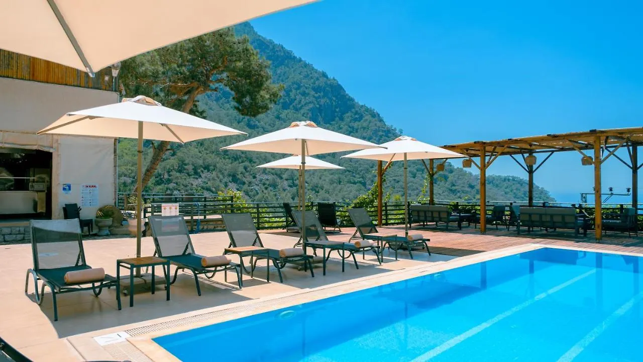 Tree Houses Hotel Φετιγιέ